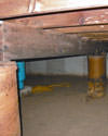 Mold and rot thriving in a dirt floor crawl space in Steamboat Springs 
