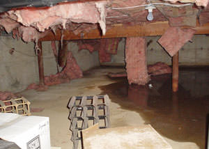 Fiberglass dripping off of the ceilings of a Rifle  crawl space