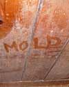 The word mold written with a finger on a moldy wood wall in Aspen 