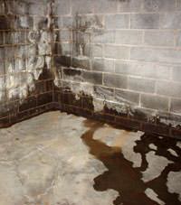 Water seeping through a concrete wall in a Gypsum  basement