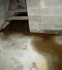 Flooding floor cracks by a hatchway door in Hayden 