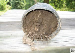 clogged french drain found in Hayden , Colorado